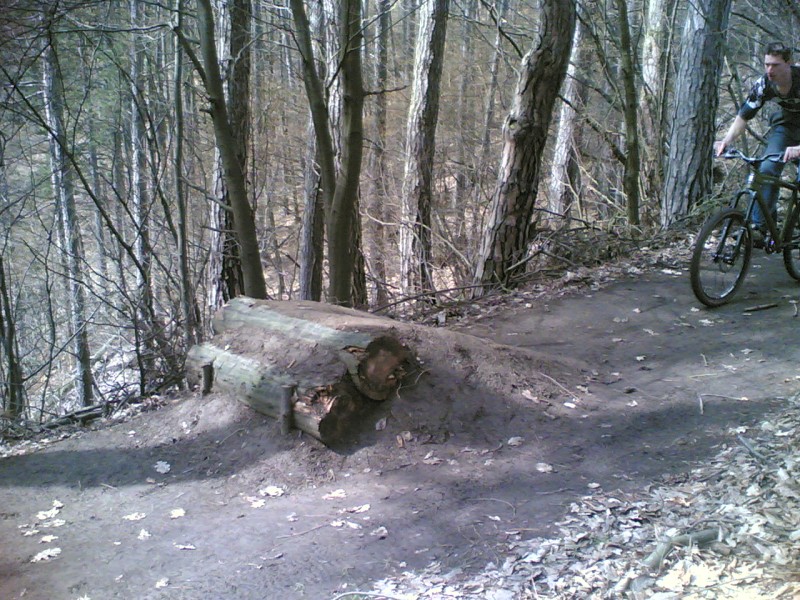 15042006(005_1).jpg