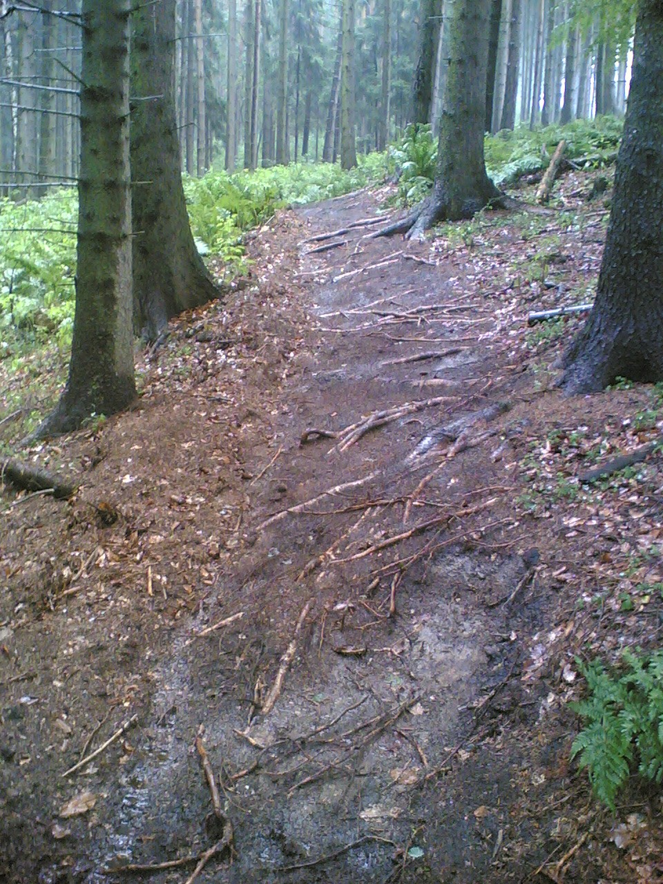 05082006(002).jpg