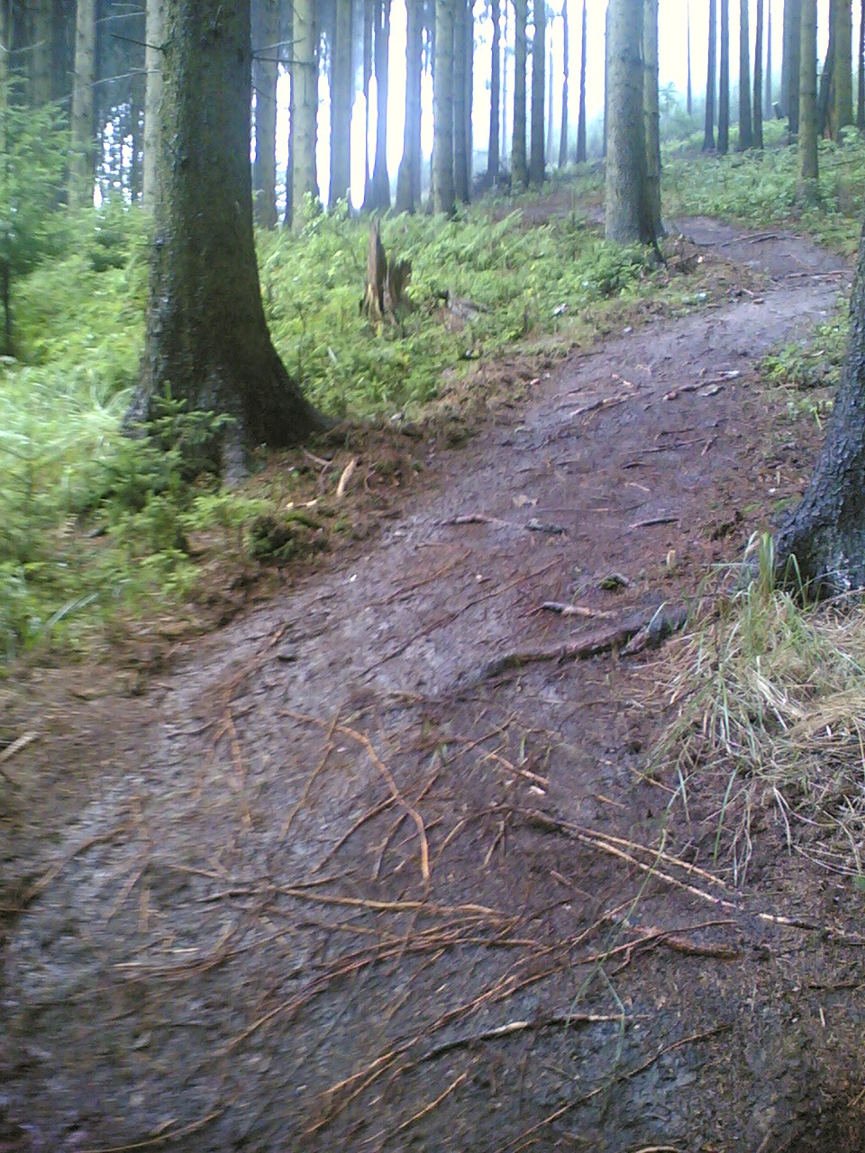 05082006(004).jpg