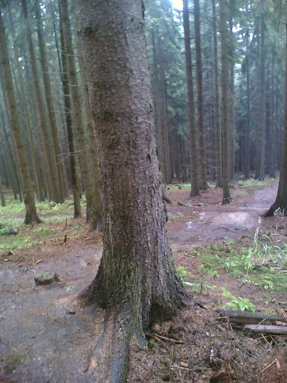 05082006(005).jpg