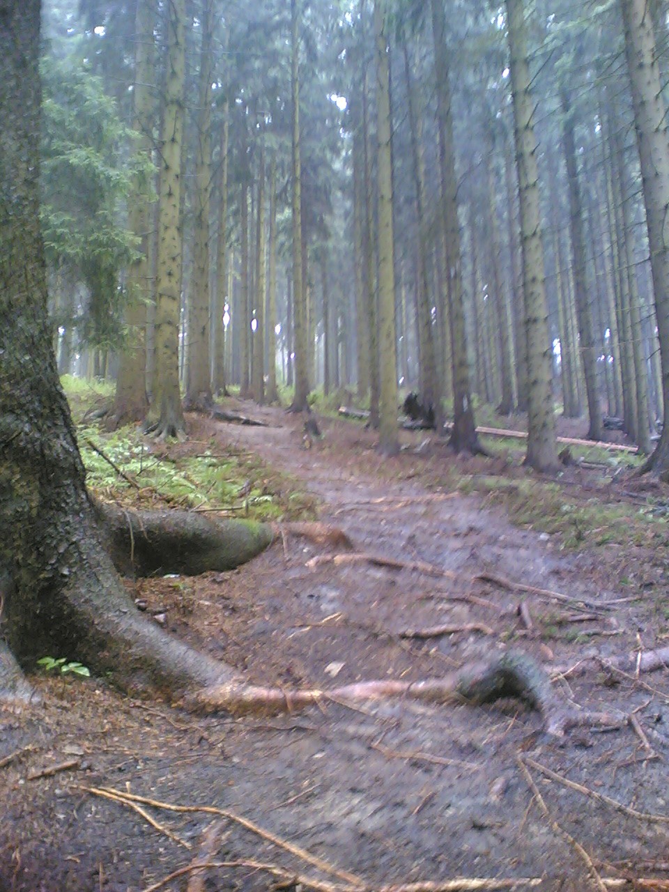 05082006(006).jpg